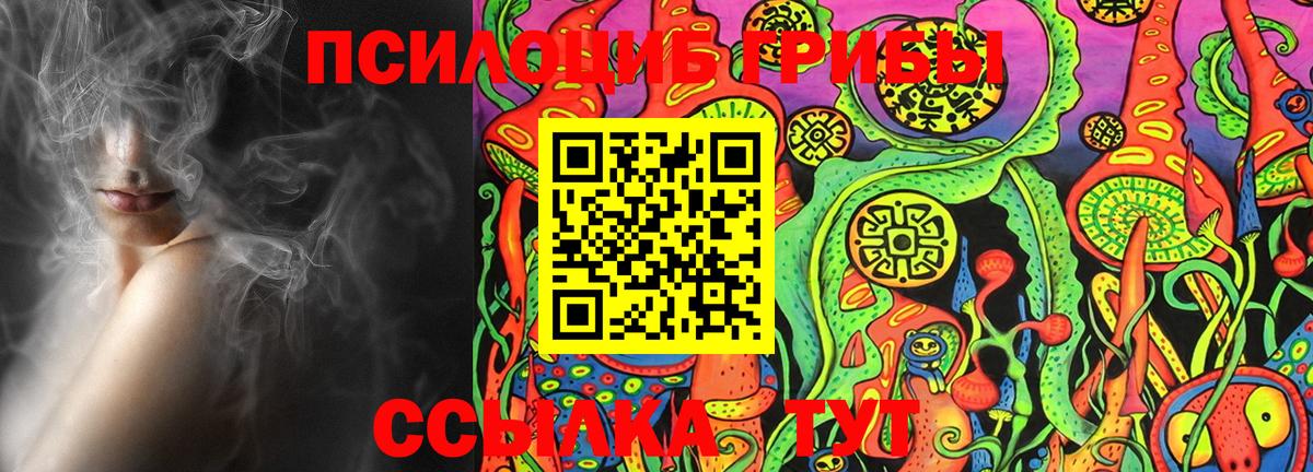 Псилоцибиновые грибы Cubensis Новоуральск