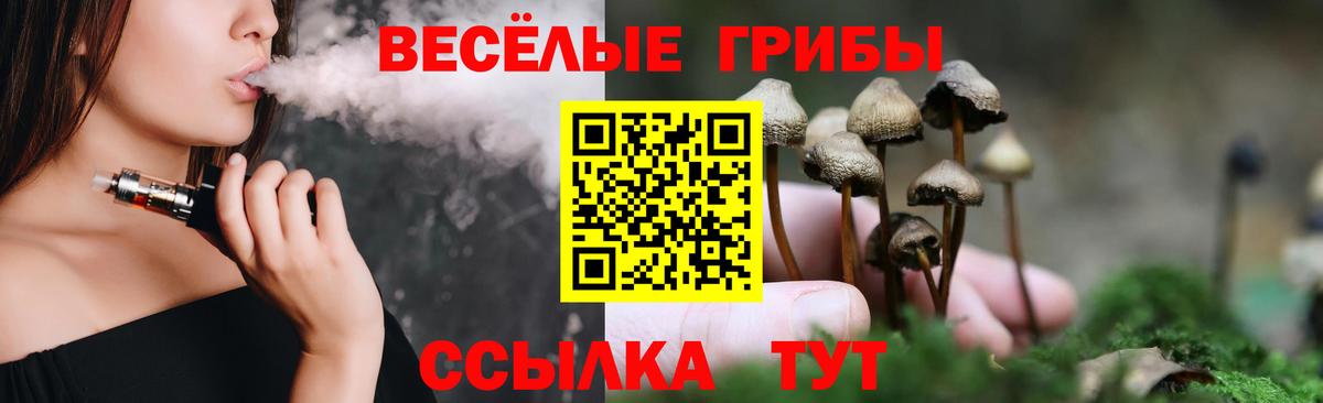 Новоуральск  Галлюциногенные грибы Cubensis  Галлюциногенные грибы Psilocybe  Вход с VPN 
